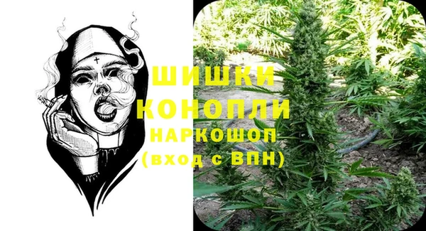 СК Покровск