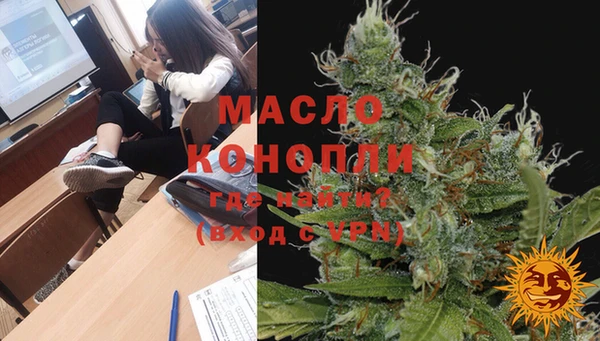 мдпв Гатчина