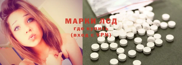 PSILOCYBIN Гвардейск