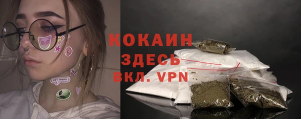 PSILOCYBIN Гвардейск