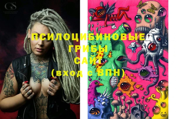 PSILOCYBIN Гвардейск