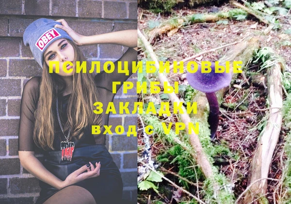 мдпв Гатчина