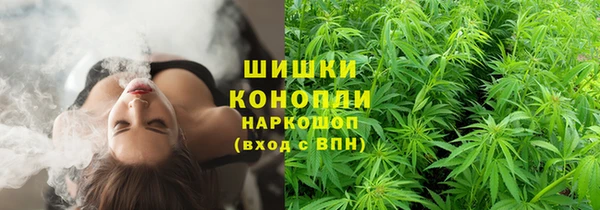 spice Покачи