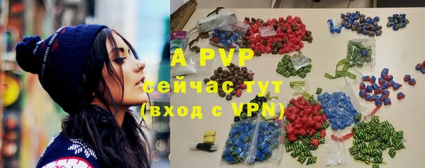 индика Покров