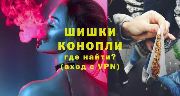 индика Покров