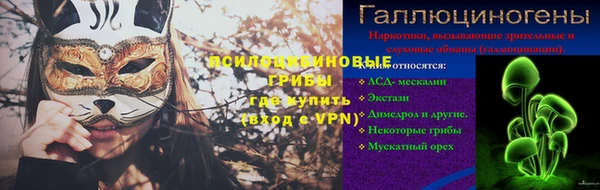 мдпв Гатчина