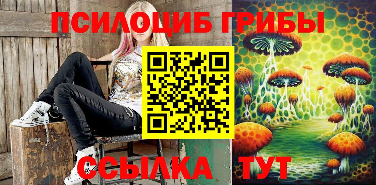 Саратов  Галлюциногенные грибы Psilocybe  Псилоцибиновые грибы мухоморы  купить  сайты  Вход с VPN 